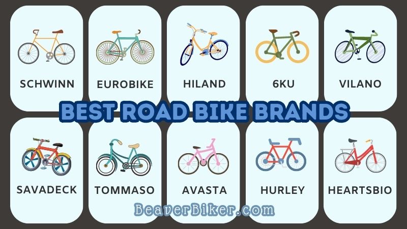 Various Best Road Bike Brands graphic
