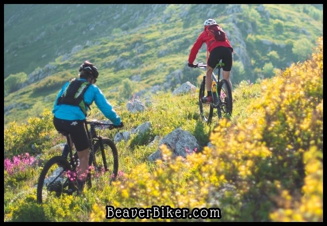 Cyclists riding on mountain bikes
