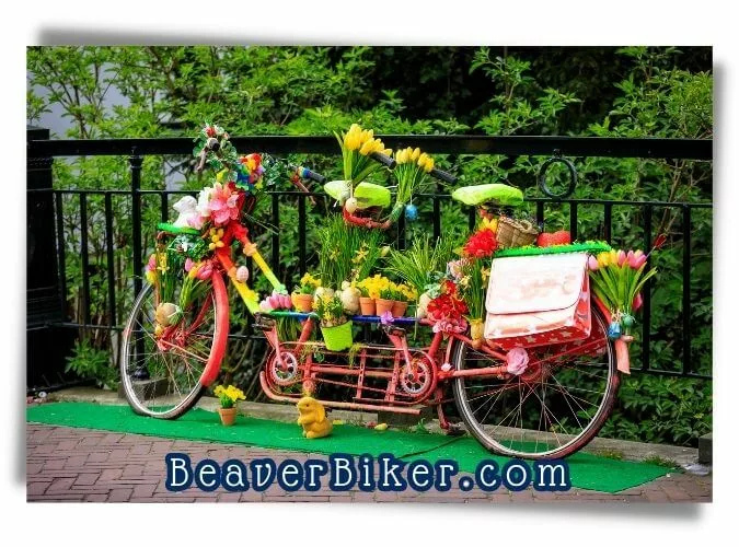 Tandem Bike Spring Flowers